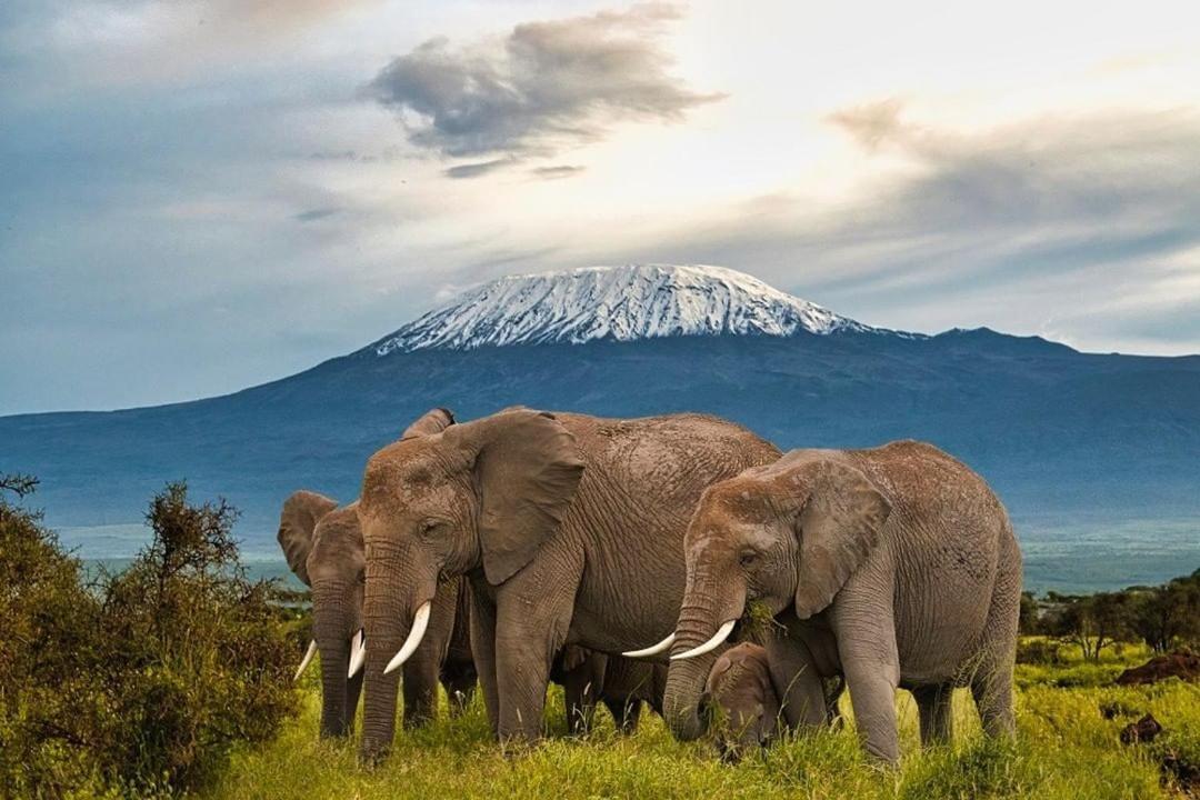 Amboseli Cultural Camping Exterior photo